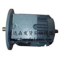 德國VEM電機(jī) B21R 90 L 4 STR230AC RB
