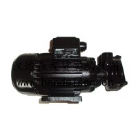 BRINKMANN臥式端吸泵SBA、SBAS-V、SBG、SBGS-V、SBM