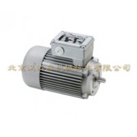 德國Minimotor-單相異步電動機(jī)資料