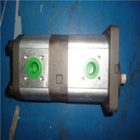 西班牙Roquet鋁齒輪泵和電機(jī)從 4 到 26，66 cc/rev |LZ - 低噪音系列