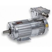 漢達(dá)森專業(yè)銷(xiāo)售Mini Motor單相異步電動(dòng)機(jī)