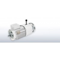 VEM進口電機原裝進口優(yōu)勢產品