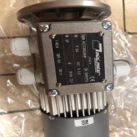 Mini Motor單向電機，異步電機系列展示