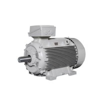 Lammers低壓電機(jī) 效率等級(jí)：IE1、IE2、IE3、IE4