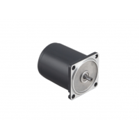瑞典進(jìn)口Transmotec 感應(yīng)交流減速電機(jī)，功率高達(dá)120W