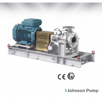 Johnson Pump 重型流程泵，適合化工/石化工業(yè)、煉油廠和一般工業(yè)應(yīng)用