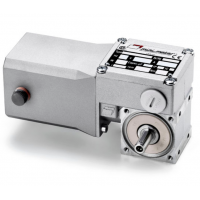 Mini Motor 蝸輪蝸桿直流減速電機(jī)BC2000-24MP，永磁直流電，全封閉