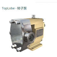 Johnson Pump TopLobe轉(zhuǎn)子泵，有12 種不同的尺寸可供選擇