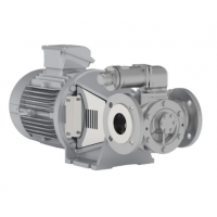 Johnson Pump 內(nèi)嚙合齒輪泵，適用于中等粘度、清潔和非磨蝕性液體