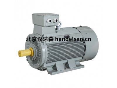 AC-motoren低壓電機(jī)IE4 電機(jī)