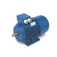意大利 Oemer 電機(jī) HQL100X 三相交流 功率 0.55-1.115kW 高效適配工業(yè)自動化