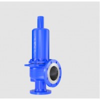 LESER安全閥API系列5262.6593型用于蒸汽，氣體和液體