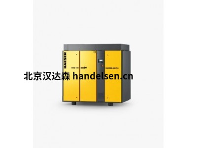 德國(guó)Kaeser干式螺桿壓縮機(jī)CSG 125 A風(fēng)冷式高效節(jié)能